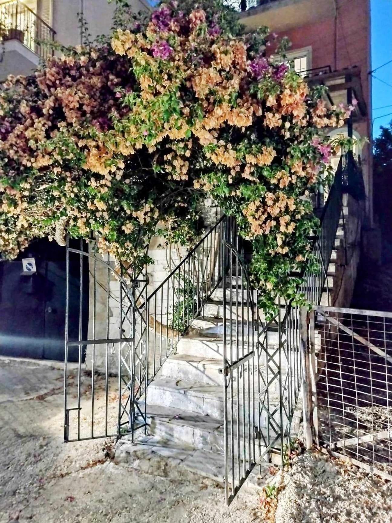 Corfu Pelekas Apartment 2 Kültér fotó